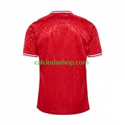 Maglia Danimarca Gara Home Uomo Euro 2024 MC