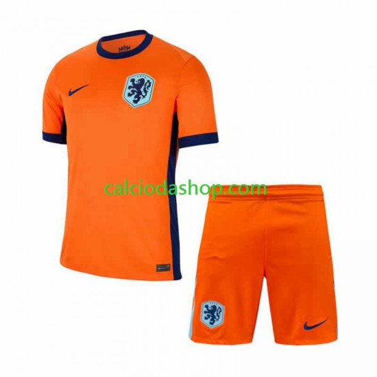 Maglia Paesi Bassi Gara Home Completo Bambino 2-13 Anni Euro 2024 MC