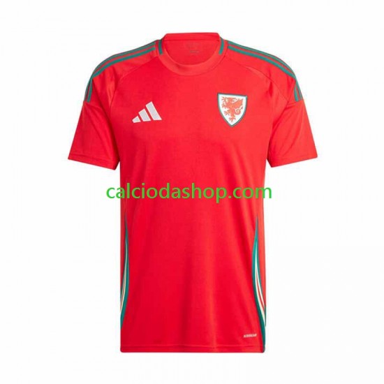 Maglia Galles Gara Home Uomo 2024 MC