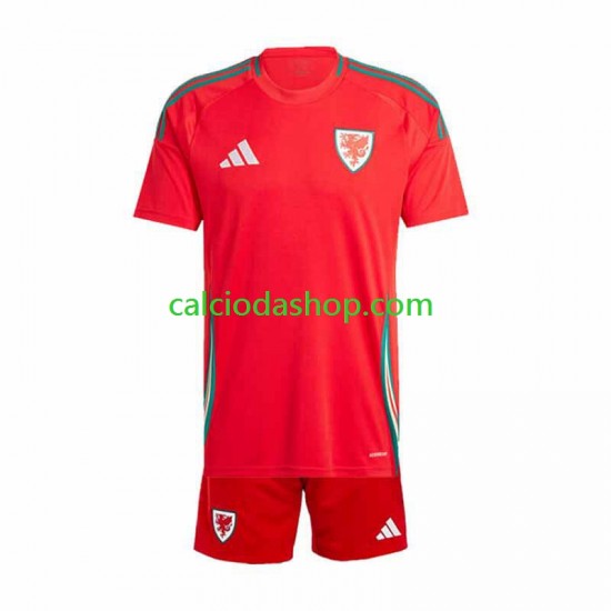 Maglia Galles Gara Home Completo Bambino 2-13 Anni 2024 MC