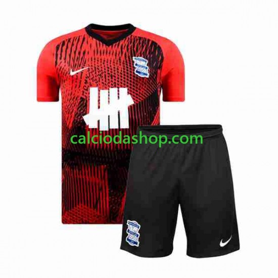 Maglia Birmingham City Gara Away Completo Bambino 2-13 Anni 2023-2024 MC