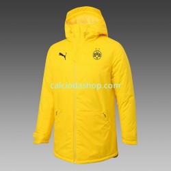 Borussia Dortmund Uomo Giacche da Allenamento All-Weather Giallo