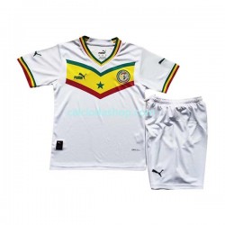 Maglia Senegal Gara Home Completo Bambino 2-13 Anni Mondiali 2022 MC