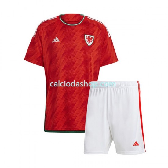 Maglia Galles Gara Home Completo Bambino 2-13 Anni Mondiali 2022 MC