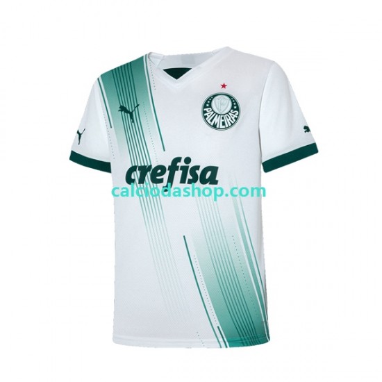 Maglia Palmeiras Gara Away Uomo 2023-2024 MC