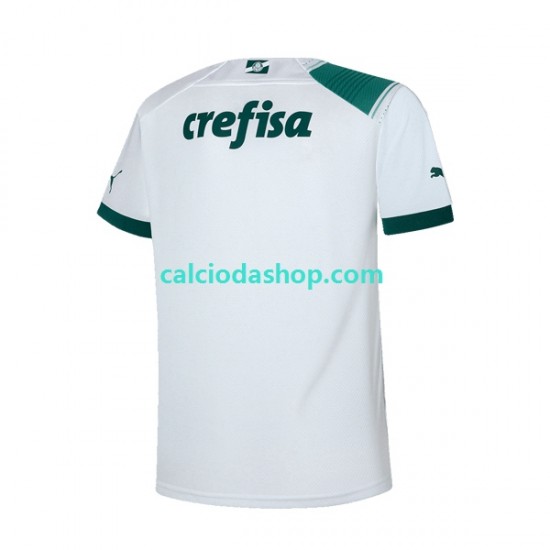 Maglia Palmeiras Gara Away Uomo 2023-2024 MC