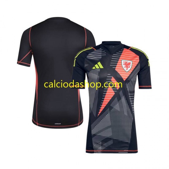 Maglia Portiere Galles Gara Home Uomo 2024 MC