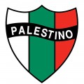 Club Deportivo Palestino